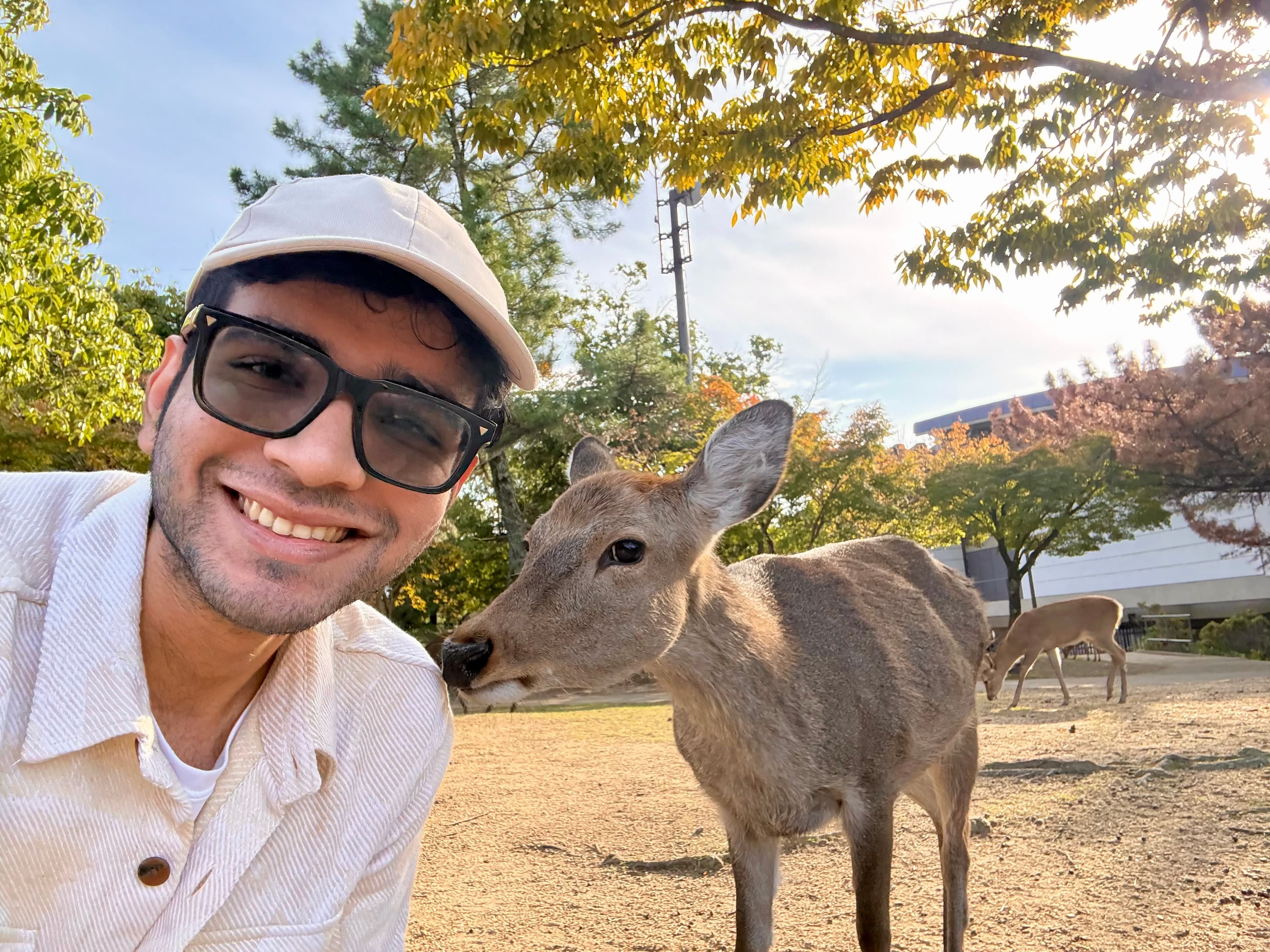 Aryan with a deer in Nara, Japan
